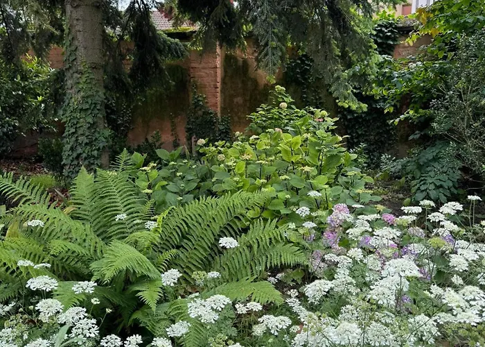 住宿加早餐酒店 La Colombarola